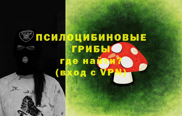 прущие грибы Армянск